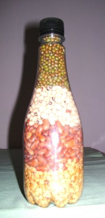 Decorative Vegetable Bottles Indusladies