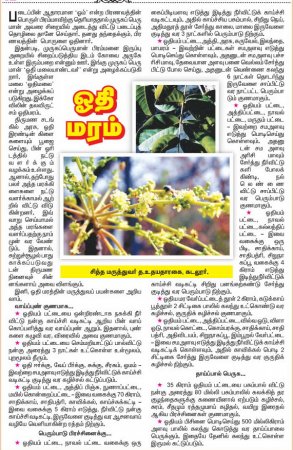 Siddha Maruthuvam Tips In Tamil Pdf Download Siddha Maruthuvam Tips In Tamil Pdf Download