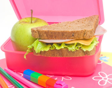 Daily Lunch Drama – Kids Lunch Box Ideas for a Healthy Fun Lunch