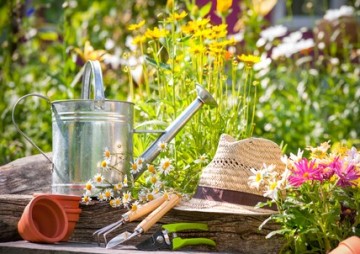 6 Useful Gardening Tips to Help your Plants Flourish Through Summer
