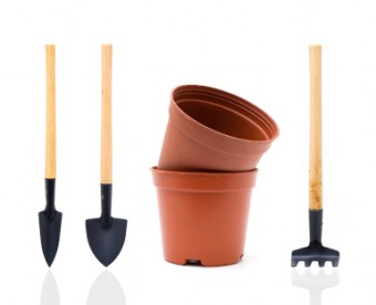 Basic Gardening Tips for an Amateur Gardener, Part 2