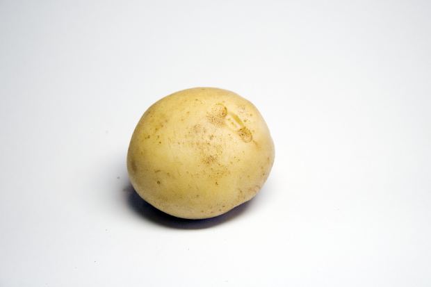 Stinking Potatoes: A Story