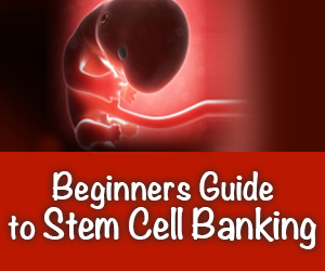 Beginner’s Guide to Stem Cell Banking