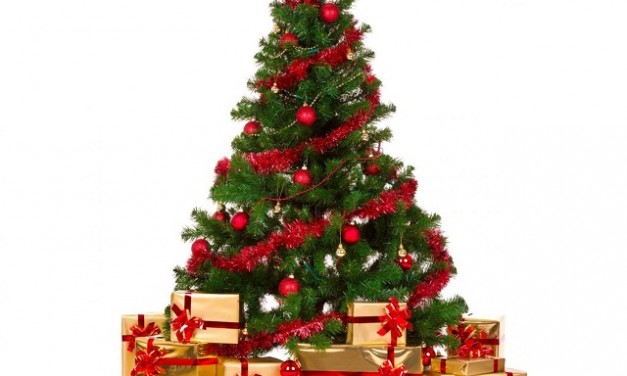 Unique Christmas Tree Themes